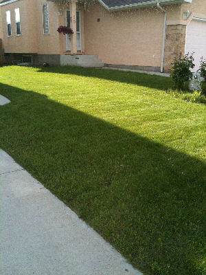 lawn-care-airdrie